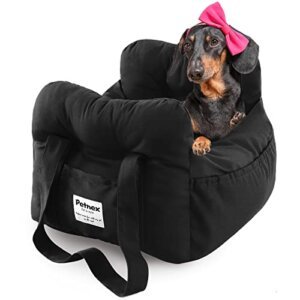 Best Car Seat for Dachshund