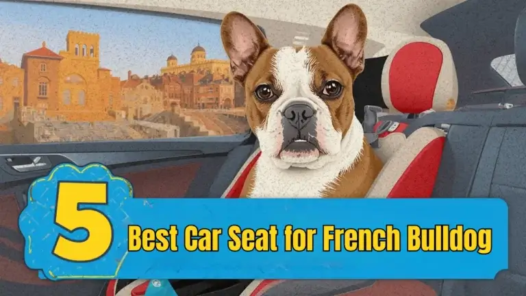 5 Best Car Seat for French Bulldog – Ultimate 2025 Guide