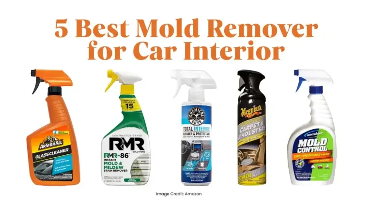 5 Best Mold Remover for Car Interior in 2025